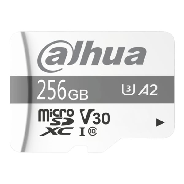 Tarjeta Micro SD 256GB UHS-I Series P100